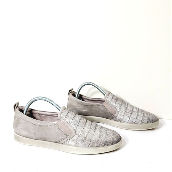 Ecco   - Picture 1 of 10